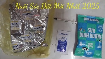 Cách Nuôi Sóc Đất Cơ Bản & Chi Tiết Nhất 2025