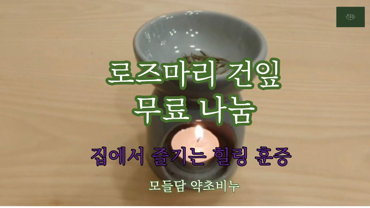 로즈마리 무료나눔  