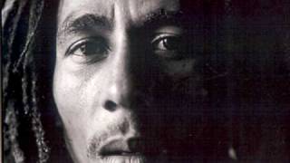 Bob Marley - Lively Up Yourself   [Record Plant '73 LIVE]