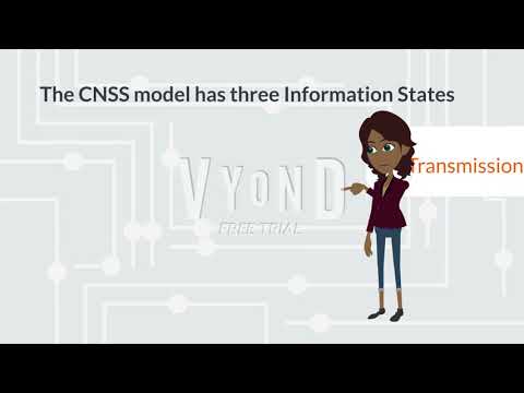 Video: Co Cnssi 1253?