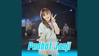 Download lagu Pedhot Janji