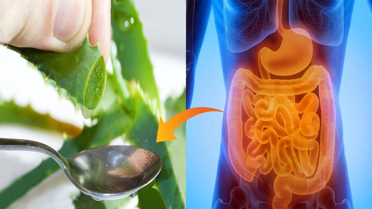 Largoni mbetjet nga zorra e trashë brenda 24 orëve. Duhen vetëm 2 përbërës dhe do liroheni YouTube Largoni mbetjet nga zorra e trashë brenda 24 orëve. Duhen vetëm 2 përbërës dhe do liroheni YouTube