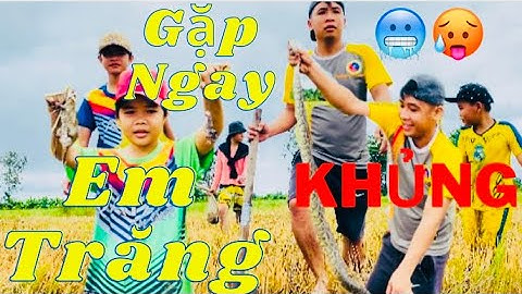 BẮT CHUỘT VÔ TÌNH ĐÀO TRÚNG EM TRĂNG KHỦNG