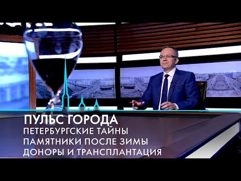 Пульс города. Полигон «Красный Бор», петербургские памятники, День донора. 21 апреля 2023