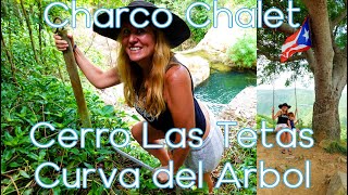 Charco Chalet, Cerro Las Tetas and Curva del Arbol Renace: Aibonito, Cayey, Salinas Puerto Rico by LifeTransPlanet 4,032 views 9 months ago 15 minutes