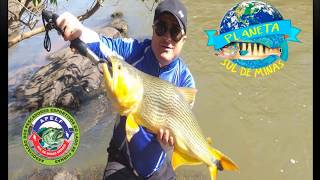 Para Surpresa De Todos, Ele Ainda Habita O Rio Sapucaí - Sul De Minas Gerais