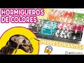 Video: Acryl NaturColor 20x10x1cms Pilz