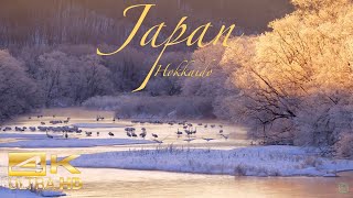Relax Music | Japan | Hokkaido | Breath-taking | Peaceful Music | Calmness | Nature | Swan | 4K ☮