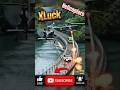 Fighter fish The Ending Is Insane #VialVideo #HighSpeed #CaughtOnCamera
