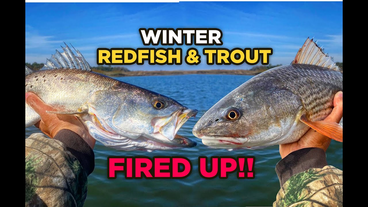 Redfish & Trout Fired Up In Shallow Creeks!! Jacksonville, FL Kayak