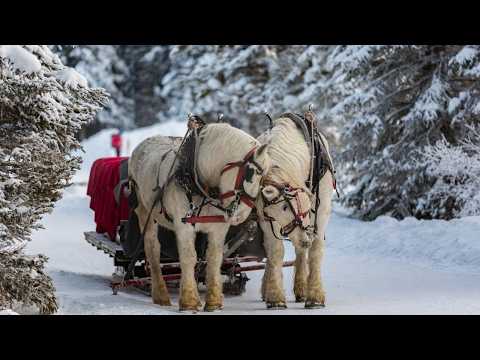 CHRISTMAS WONDERS: The Most Beautiful Places That Will Blow Your Mind
