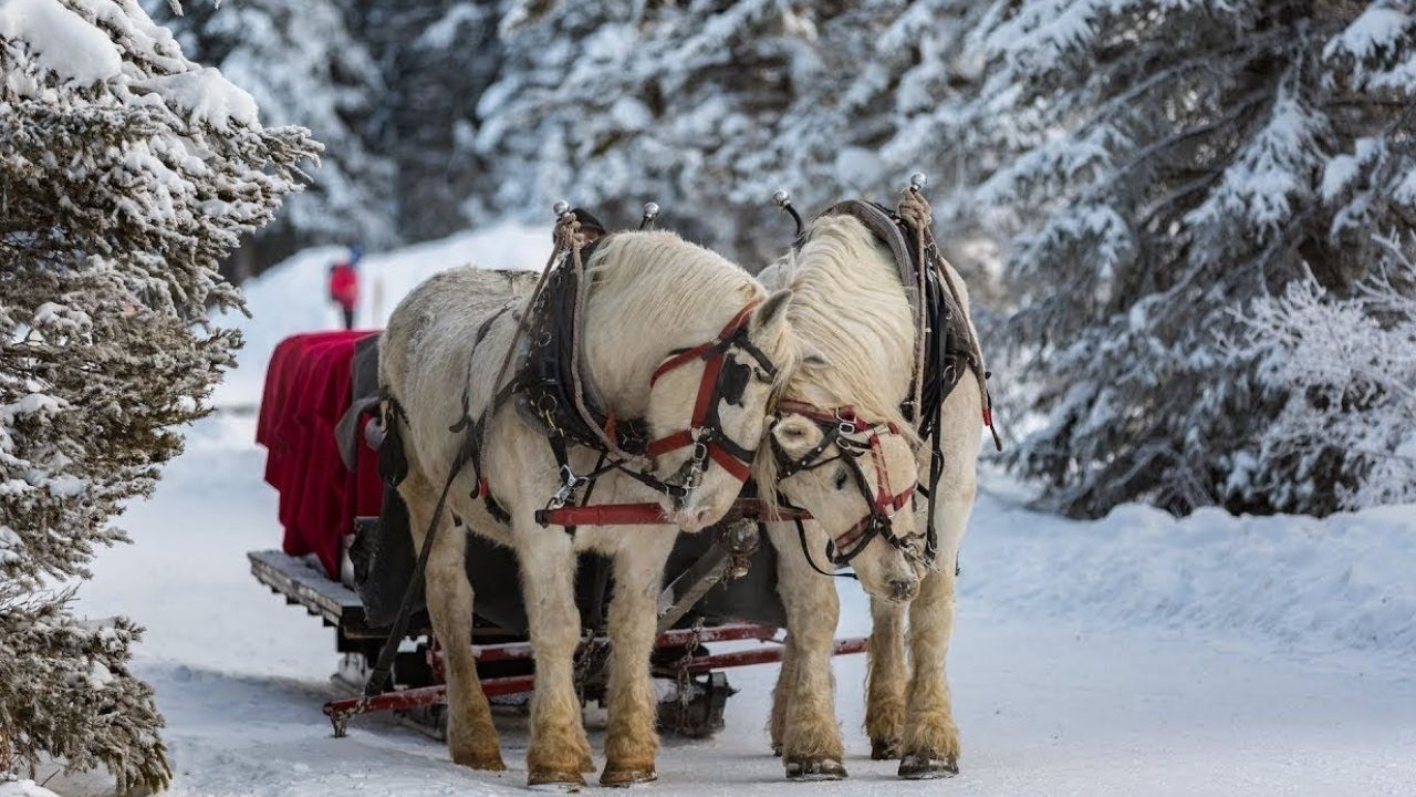 РОЖДЕСТВЕНСКИЕ ЧУДЕСА: Самые красивые места, которые вас поразят.