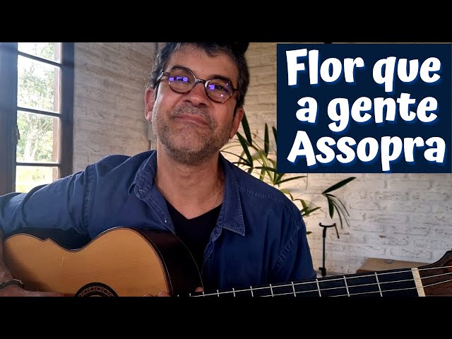 A Flor Que A Gente Assopra - song and lyrics by Almir Sater