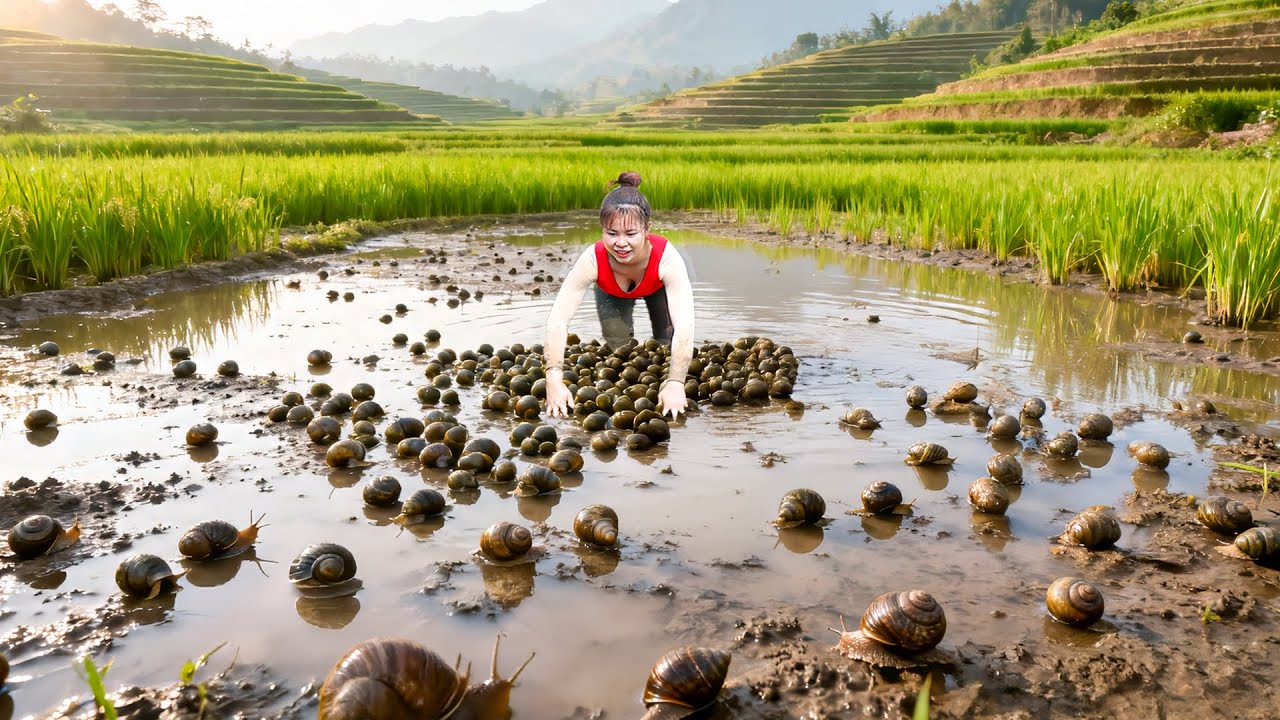 Catching 500KG Eels Goes To Market Sell  With Phuong | Bushcraft Farm