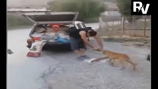 Details Random Acts of Kindness - Faith In Humanity Restored - Good People 2020 Update