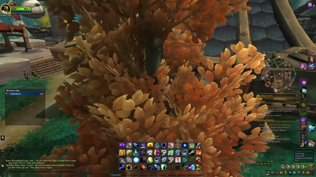 Tailoring  trainer Hollowfall Layne Pontelle  - WOW  | The War Within