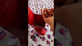 Mini Fındık Patozu Şfet Şfetbeniöneçıkar