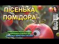 ПІСЕНЬКА ПОМІДОРА НІНОЧКА КОЗІЙ ПІСЕНЬКА ПОМІДОРА НІНОЧКА КОЗІЙ