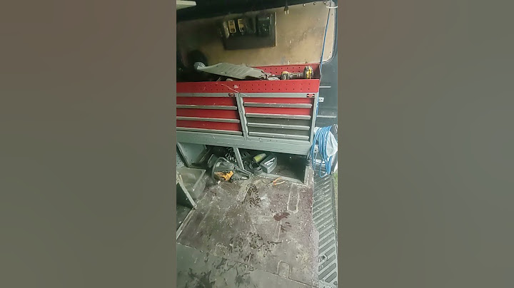 Genów nie oszukasz!! Normalnych obowiązują godziny.