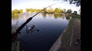 Fishing with my Son for Bluegills at Granite Park Pond