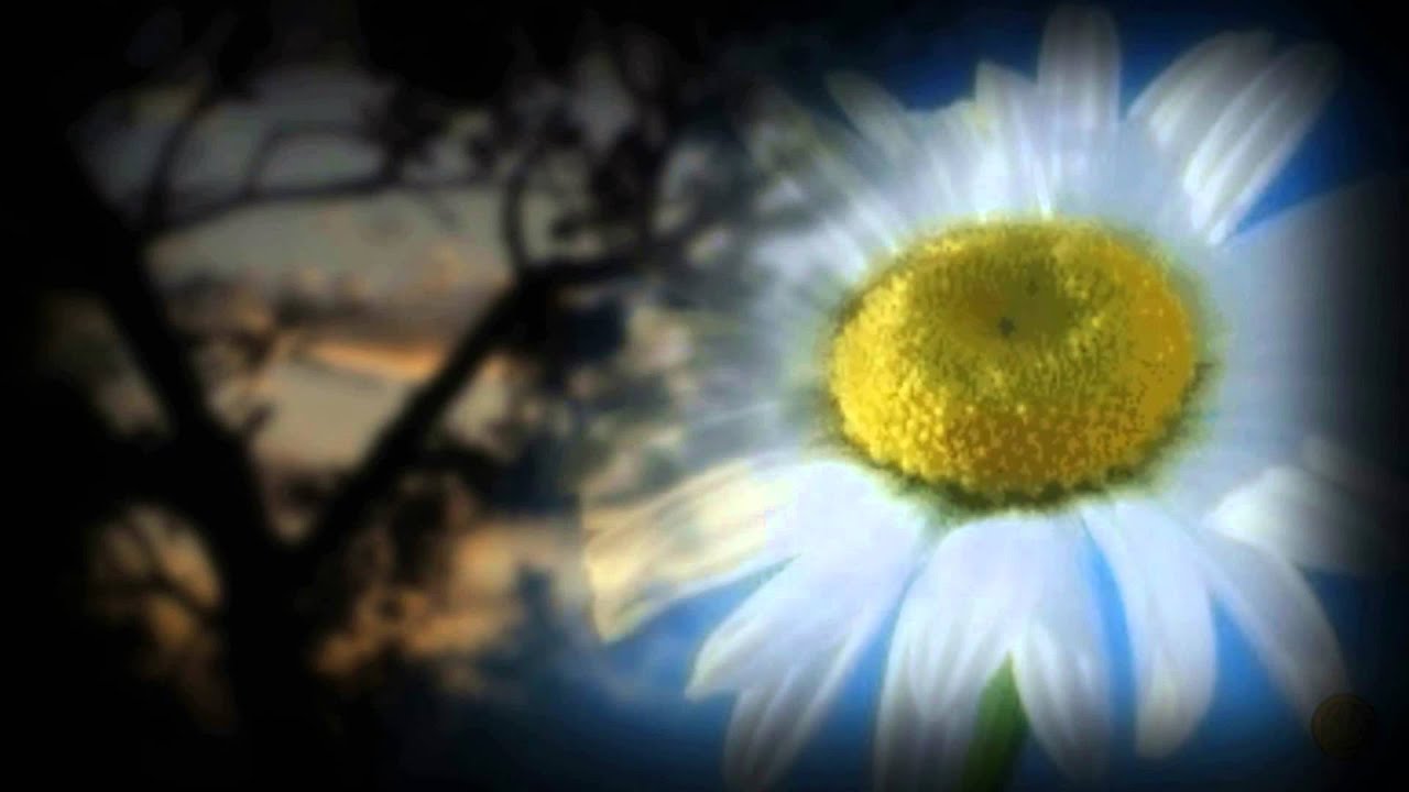 НЕПРИДУМАННЫЙ.. исп. АНАСТАСИЯ ШАНИНА - YouTube