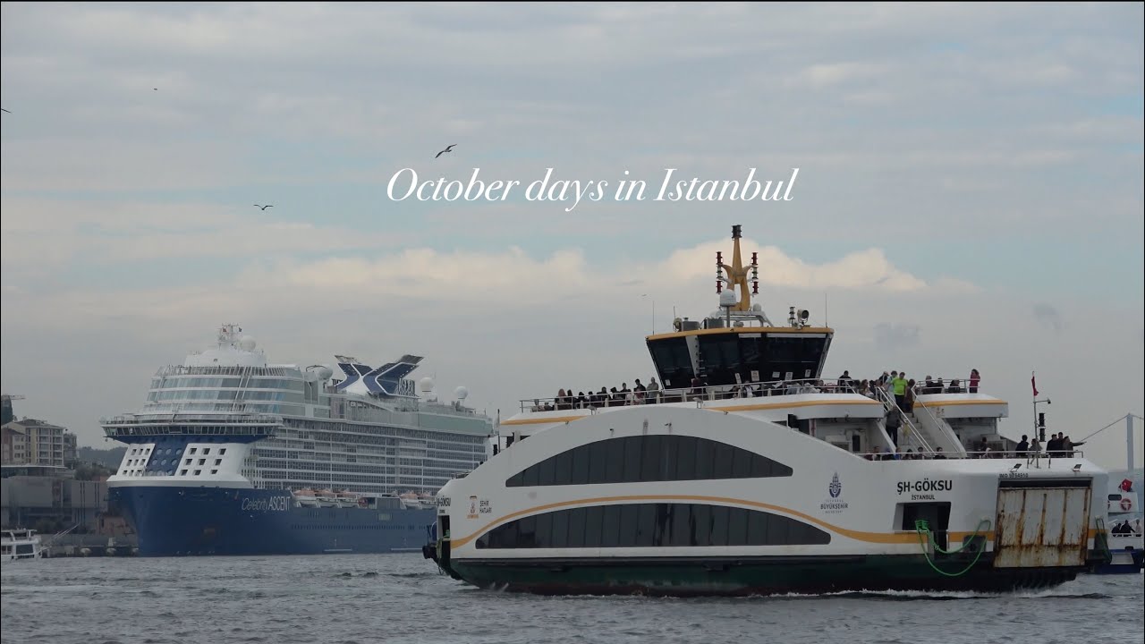 Istanbul vlog: authentic vibes and a lot of cats | қазақша