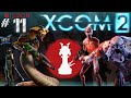 XCOM 2 | JUST SKIP THIS VIDEO - Let&#39;s Play - PART 11