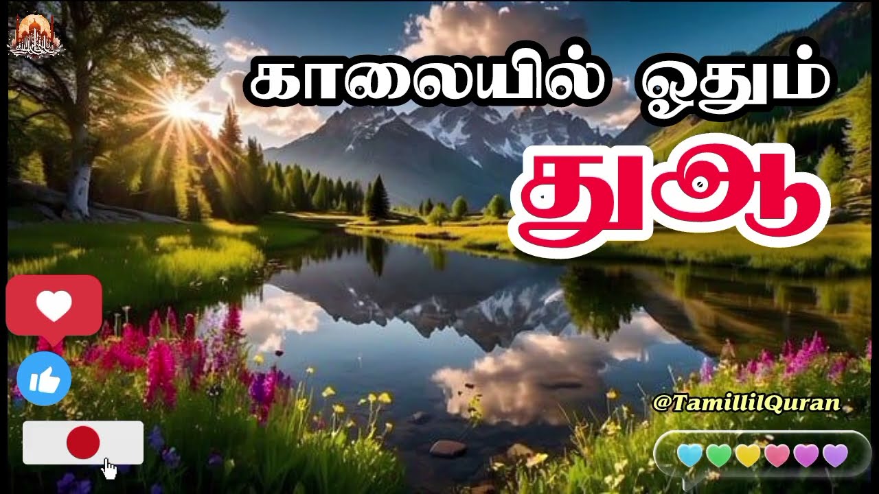 ✌️🤲ஓவ்வொரு நாளும் வெற்றி பெற துஆவுடன் தொடங்குவோம் 