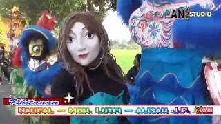 Dibalsem - Singa Dangdut Andi Putra 01