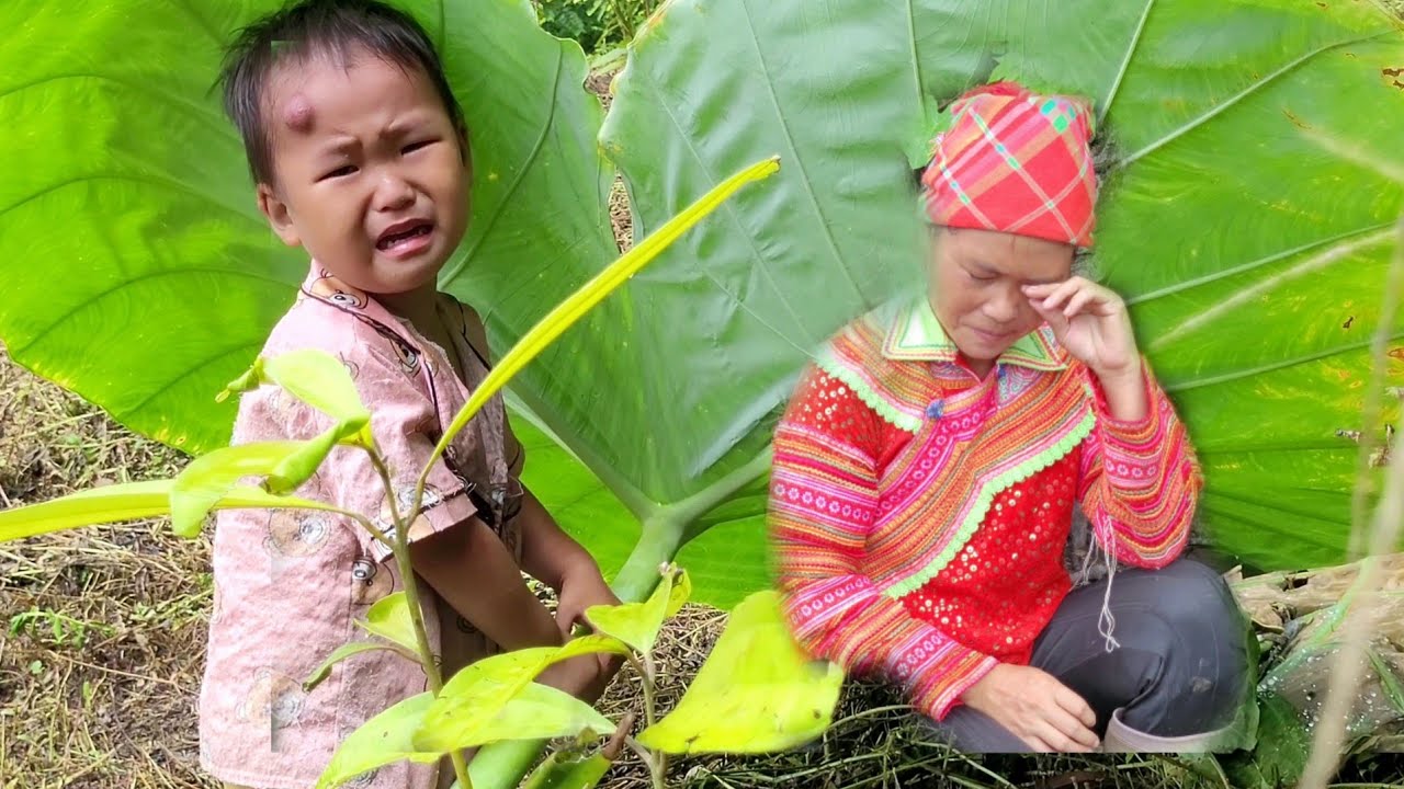 The child was missing, the single mother went into the deep forest to ...