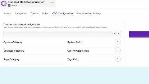 How to Configure Custom Data Objects (CDOs) in the Asset Naming Assistant | Audienz + Marketo