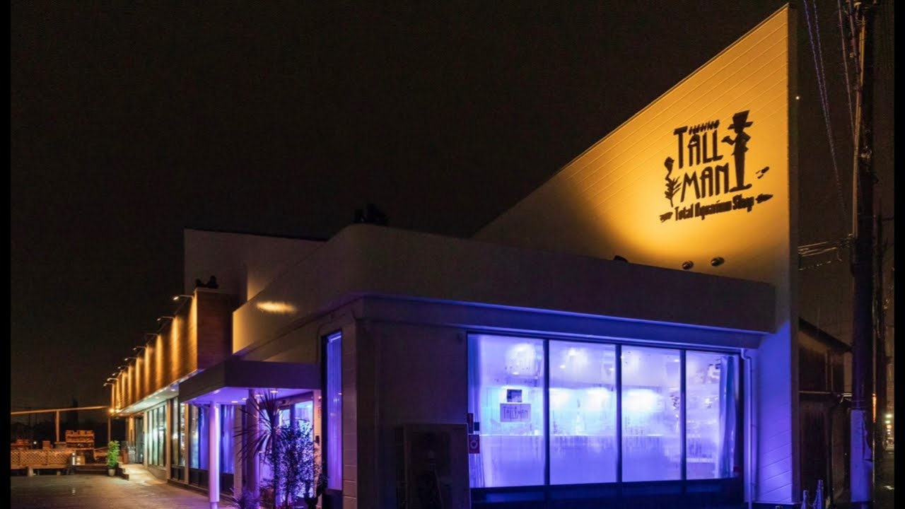 新年明けましておめでとうございます✨本年もどうぞ宜しくお願いいたします🤲【アクアリウムトールマン動画チャンネル！トールマンTV!】