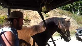 Steve Wright with the proven producer stars, EZD 's Rowdy Rawhide 2012