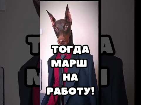 Утром не хочется идти на работу? Марш.. #юмор #сарказм #прикол #доберман