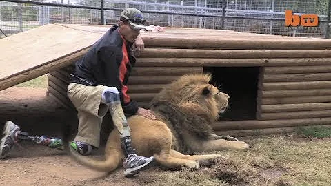 The Legless Lion Tamer & Animal Man