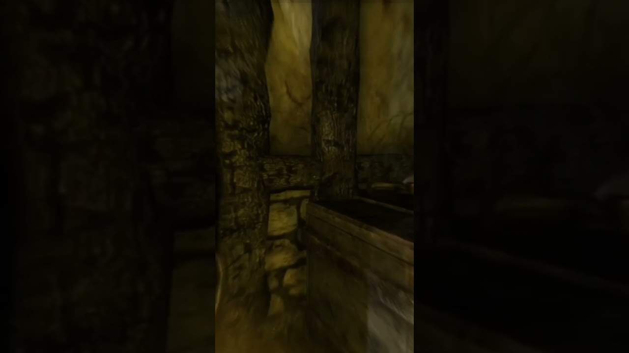 Amnesia: The Dark Descent Funny Moment