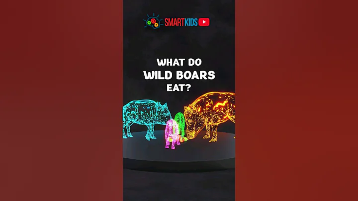 🐗 What do wild boars eat?