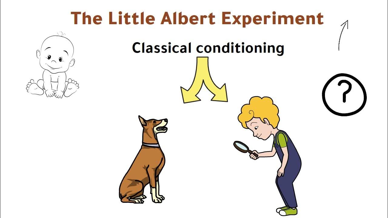 little-albert-experiment-john-watson-s