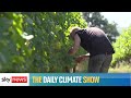 The Daily Climate Show: What is Show Your Stripes Day?