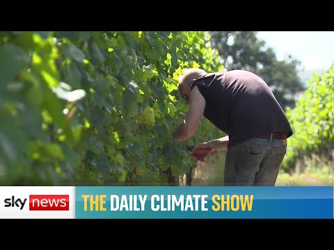 The Daily Climate Show: What is Show Your Stripes Day?
