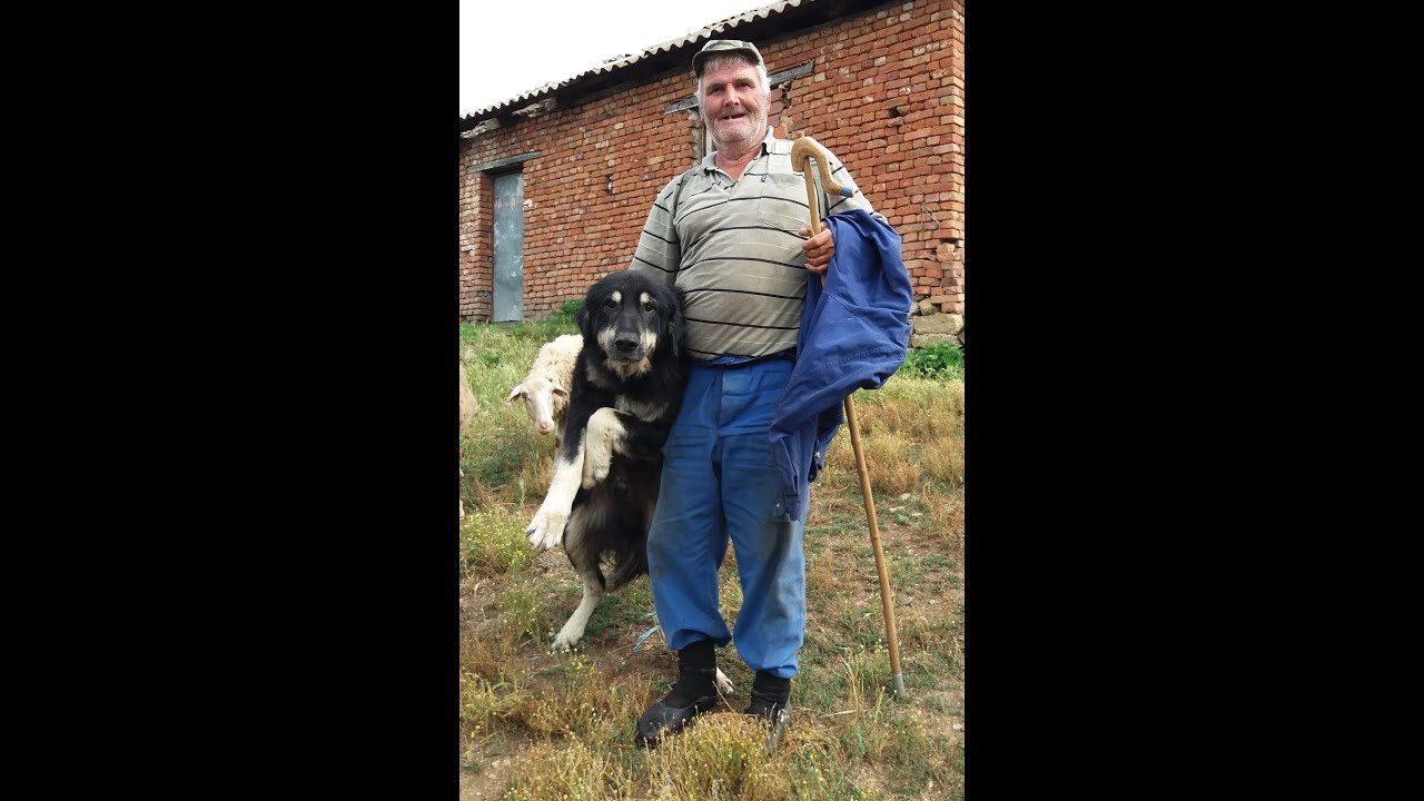 Документарен филм „Во потрага по карамани - Чашка, 2018“