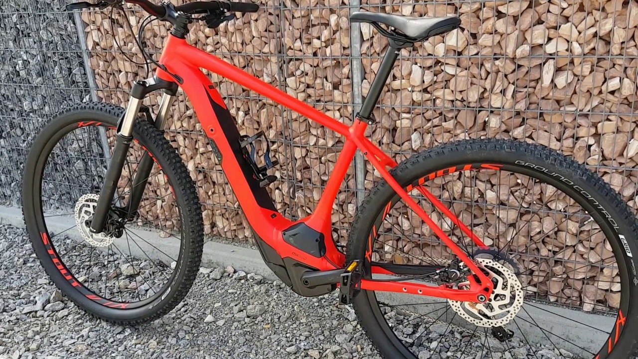 levo hardtail