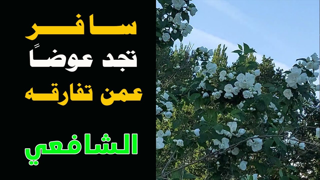 سافر تجد عوضا عمن تفارقه