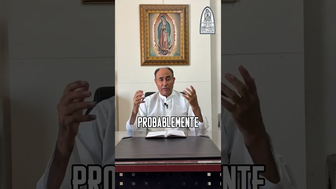 XI domingo ordinario