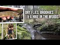 Dry fly fishing for wild brook trout with my kids