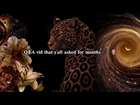 𝐐&𝐀 𝐯𝐢𝐝 𝐭𝐡𝐚𝐭 𝐲'𝐚𝐥𝐥 𝐚𝐬𝐤𝐞𝐝 𝐟𝐨𝐫 𝐦𝐨𝐧𝐭𝐡𝐬.... ☄️🌷#trendingvideos ||@STAR_x_LUSH