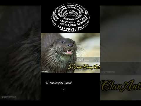 Bazzukulu Ba Kisolo Muwanga Sebyoto Ngonge Clan Anthem Omulangira Jjuuko Munnabuddu 