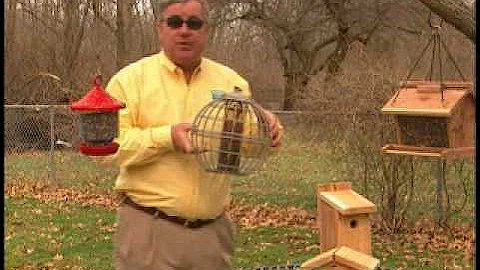 Bird Man Mel - Attracting Chickadees