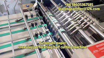 Automatic feeding paper creasing/perforating/half cutting machine with collection paper
