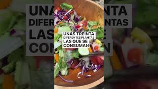 Comer una ensalada al día te garantiza el consumo de vegetales diario y mientras más colorida mejor.